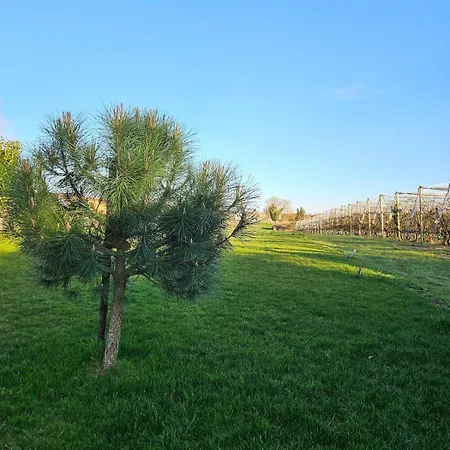 Holiday home Le Nid Suspendu *