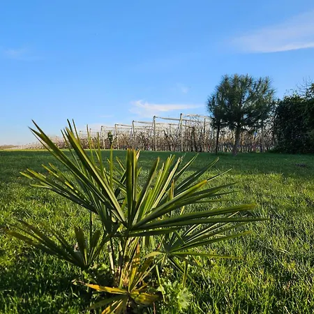 Holiday home Le Nid Suspendu Parcay-les-Pins