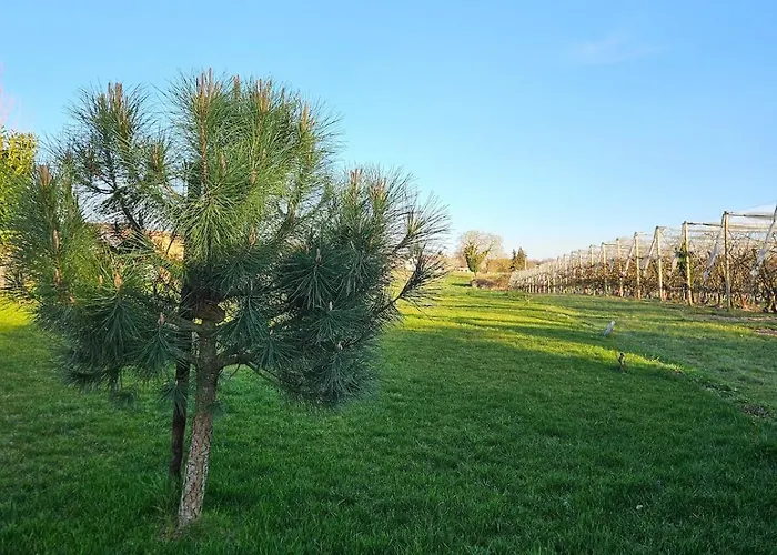 Hébergement de vacances Le Nid Suspendu *