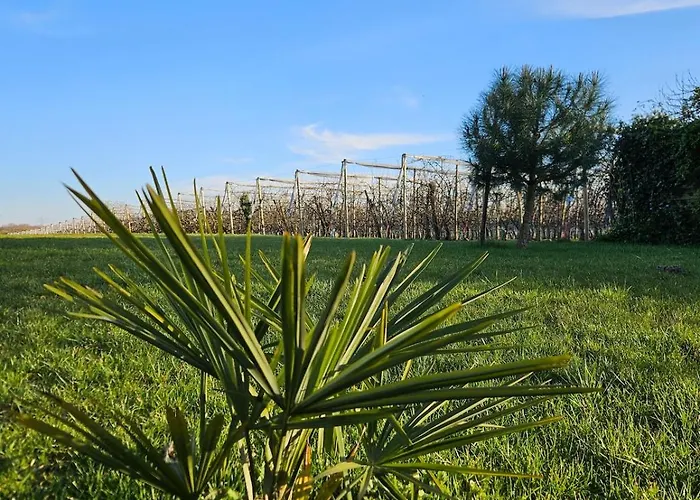 Hébergement de vacances Le Nid Suspendu Parcay-les-Pins